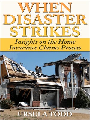 cover image of When Disaster Strikes
